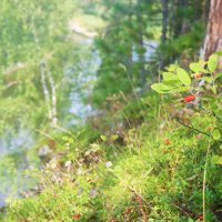 Бережок :: Галина Ильясова