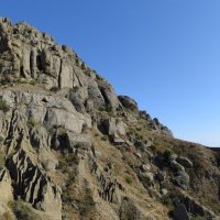 Природа Крыма :: Amazing Cosmea