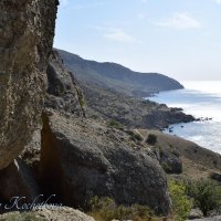 Природа Крыма :: Amazing Cosmea