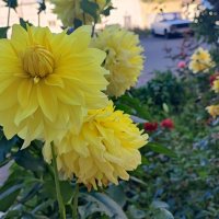 ,,, :: Сергей Тимоновский