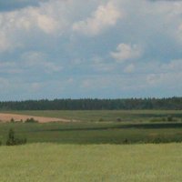 Вологодчина. :: Наталья Лунева 