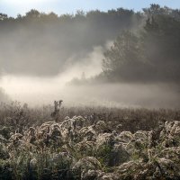 Утро 13 сентября. Царицыно :: Михаил Бибичков