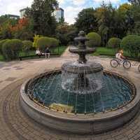 ***** :: юрий поляков