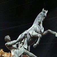 Кони Клодта. :: Ольга 