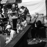 .... :: Юрий Самсонов