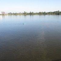 Усть-Ижора. Сентябрь :: Маера Урусова