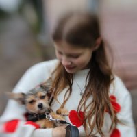 Любовь - это... :: Владилен Панченко