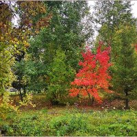 Про осенний день... :: Aquarius - Сергей Про осенний день... :: Aquarius - Сергей