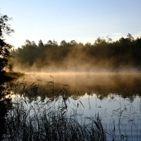 Туман над водой :: Андрей Зайцев