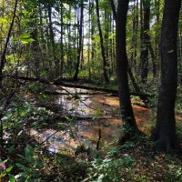 Бабье лето в Измайловском парке :: Андрей Лукьянов