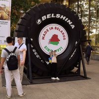 Фотозона у шины. :: Татьяна Помогалова