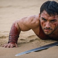 Гладиатор :: Aleksey Afonin