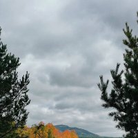 Осенний день :: Георгиевич 