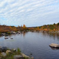 Осенняя Нива :: Ольга Осенняя Нива :: Ольга