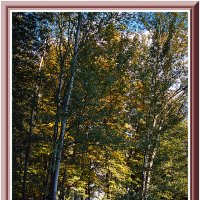 Осенью повеяло :: Владимир Кроливец