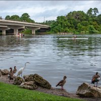 Таланты и поклонники :: **** vedin