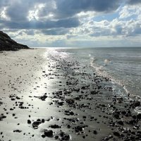 Берег Карского моря :: Александр Ульныров