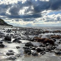 На берегу моря :: Александр Ульныров