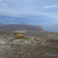 Природа Крыма :: Amazing Cosmea