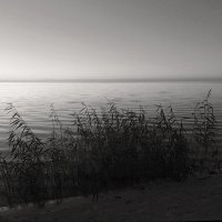 *** :: Сергей Григорьев