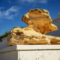 Ракушечник :: Анатолий Чикчирный