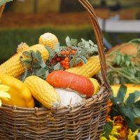 Осень - пора урожая :: Lersa 