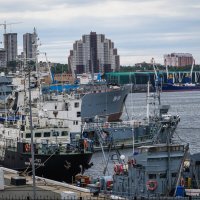 ... :: Жора Житников