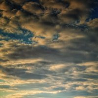 А из нашего окошка осень видна немножко... :: Леонид Абросимов