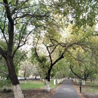 Аллея в парке :: Динара Каймиденова