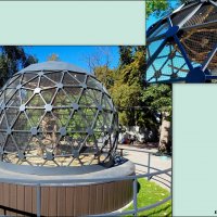 В ростовском зоопарке :: Нина Бутко