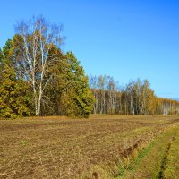 Осень. :: Михаил Колосов 