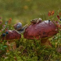 Разговор по душам :: Валерия заноска