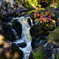 Местность, где снимался фильм "А зори здесь тихие" :: Grishkov S.M.