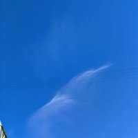 Нежные облака :: светлана льдокова