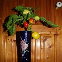 Вечерний букет...) :: Константин Штарк