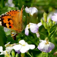 из сегодняшней съёмки 1 :: Александр Прокудин