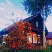 Осенний город :: Сергей Кочнев Осенний город :: Сергей Кочнев