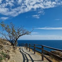 Новый свет :: Мария Яковлева