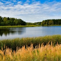 Смоленская осень. :: Милешкин Владимир Алексеевич Смоленская осень. :: Милешкин Владимир Алексеевич