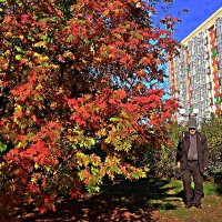 Сентябрь... У любимой рябины! :: Владимир 