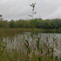 Озеро Надежды... :: Андрей Хлопонин Озеро Надежды... :: Андрей Хлопонин