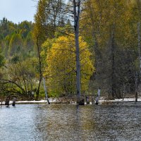 - :: Владимир Мигонькин