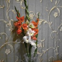 Натюрморт :: Роман Савоцкий