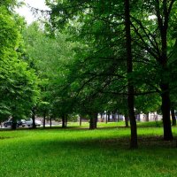 Чебоксары. Сквер им. Ивана Яковлева в начале лета. :: Пётр Чернега