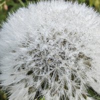 Осень всегда красива :: Ольга Прикуль