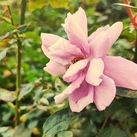 ,,, :: Сергей Тимоновский