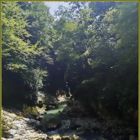 Грузия.  Мартвильский природный парк. :: Ольга Довженко