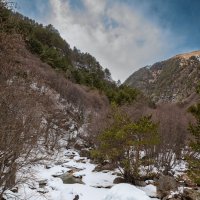Дигорское ущелье, река Урух, Северная Осетия Алания. :: Дина Евсеева