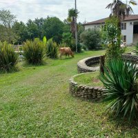 В Новом Афоне :: Ирэн 