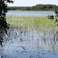 Озера на острове Кижи :: Любовь ***